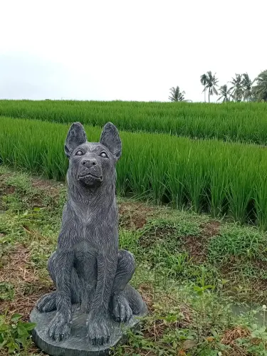 Artikelbild des Artikels “Sitzender Schäferhund, 65cm Höhe - Steinguss. “